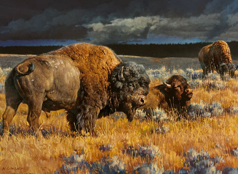 Nancy Glazier Restless Bison Buffalo Art Print-12 x 9