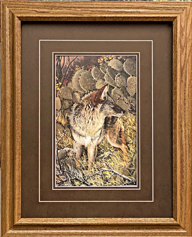 Ray Whitson coyote Art Print-Framed 17 x 21