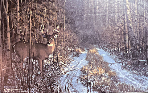 Don Kloetzke Prime TIme Buck S/N Deer Art Print