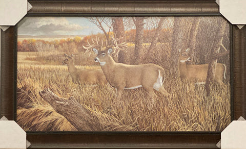 Ron Van Gilder The Missouri Giant Deer Art Print- Framed 31 x 19