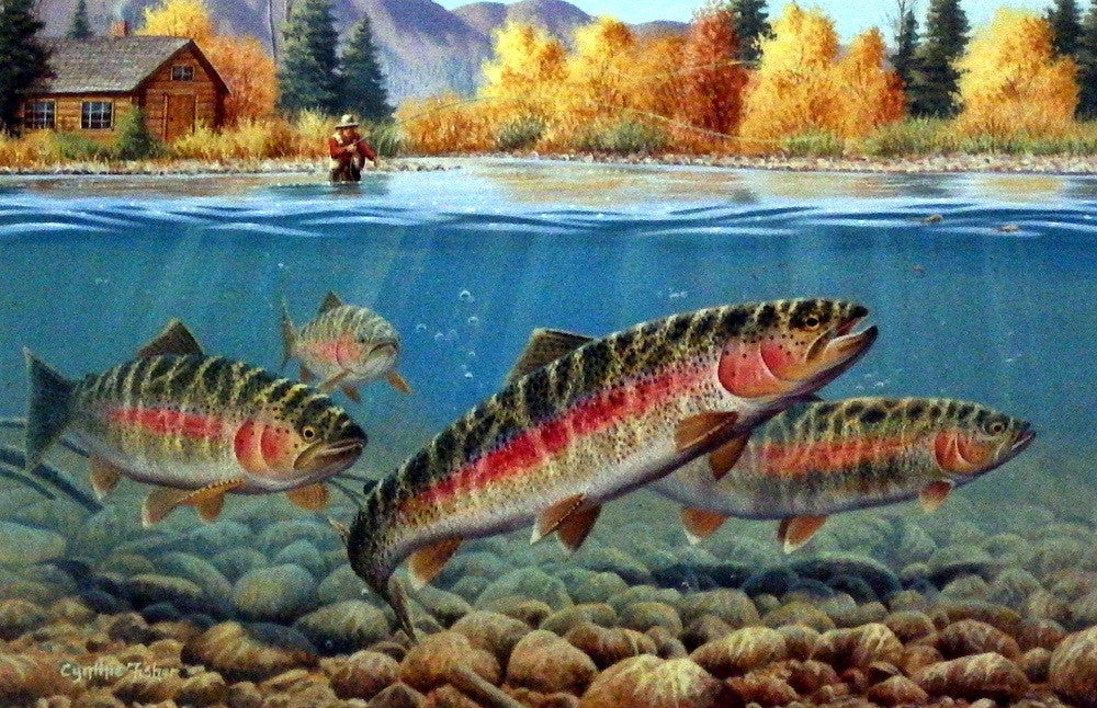 Wildlife Artist Cynthie Fisher Trout Fishing Picture Autumn