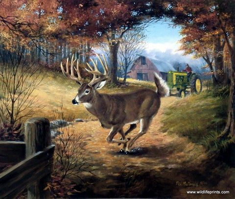 Lifting Fog Whitetail Deer Art Print Wall Art