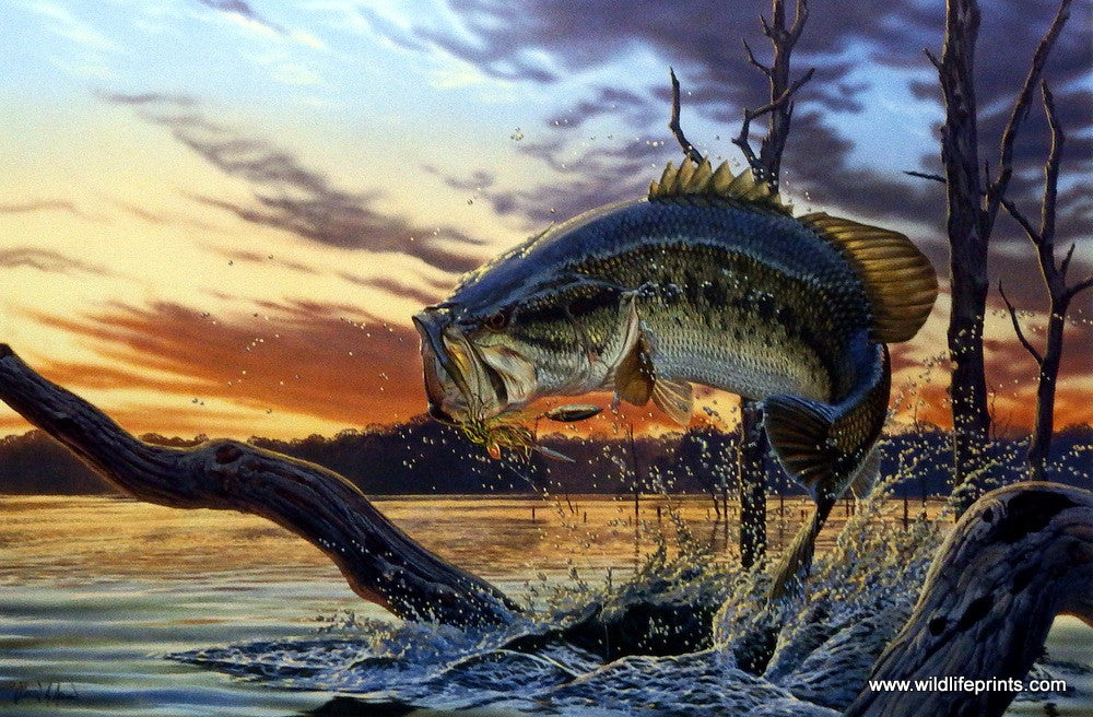 Fine Art, Lucky 13 (Largemouth Bass)