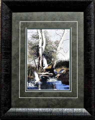 Richard Plasschaert Taking Flight Mallard Print-Framed