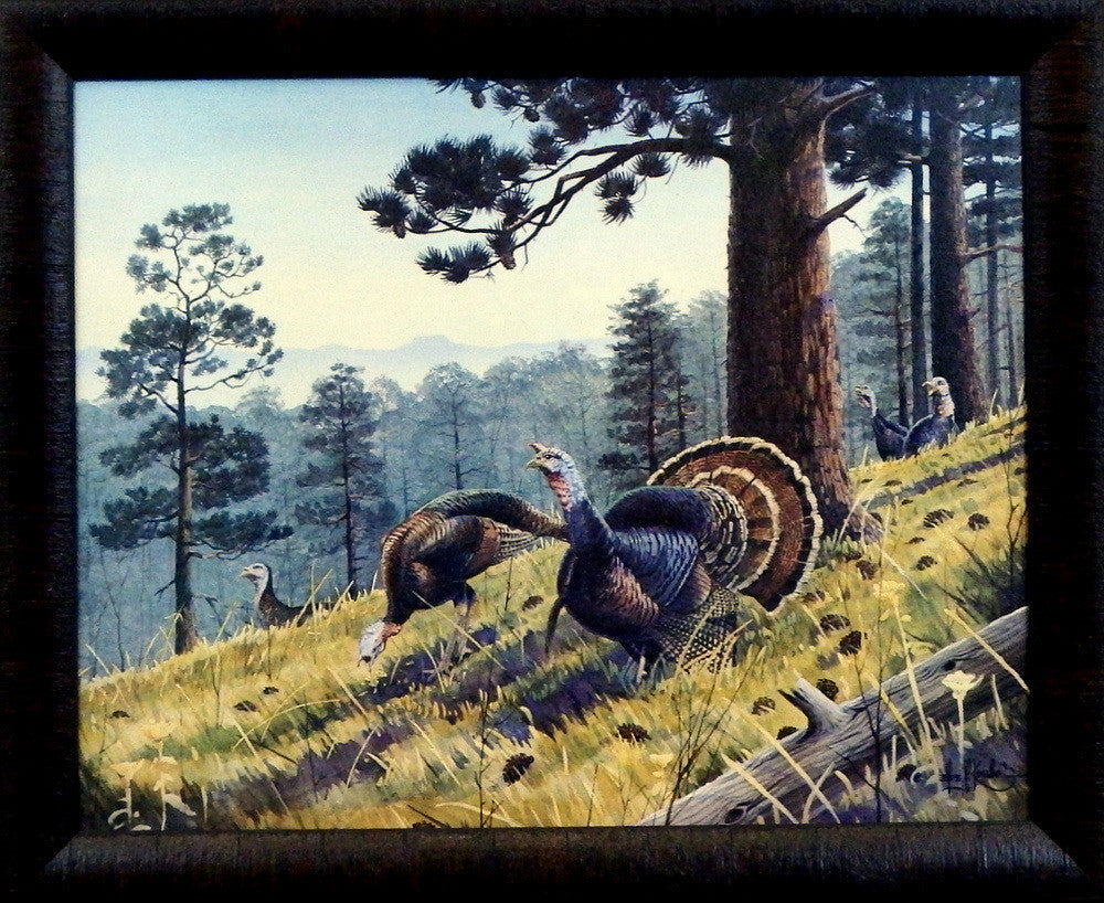 Les Kouba Wild Turkeys In The Black Hills Framed