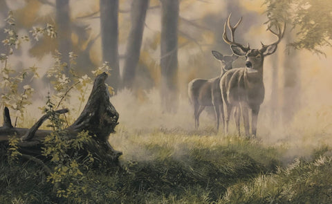 Paint by Numbers Deer Woodland Scene Art Print by TheWildPlum