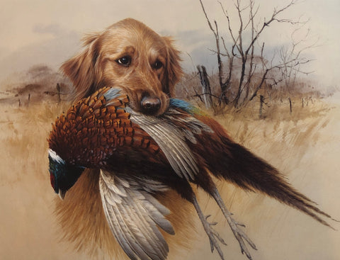 Jim Killen In the Field-Golden Retriever with Pheasant S/N (19x15)