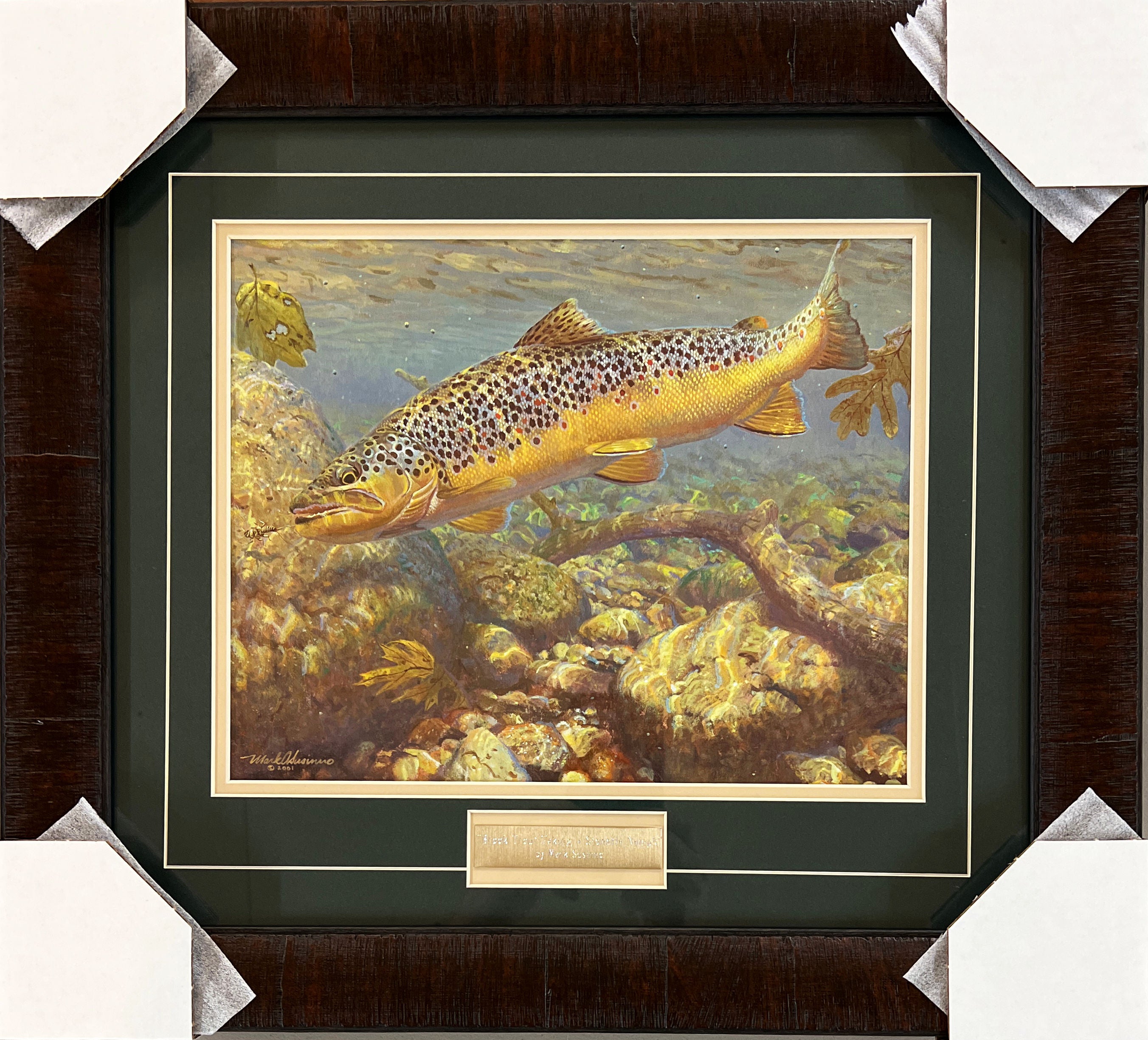 Mark Susinno Brook Trout Taking a Stone-Fly Nymph Art Print Framed 20 ...