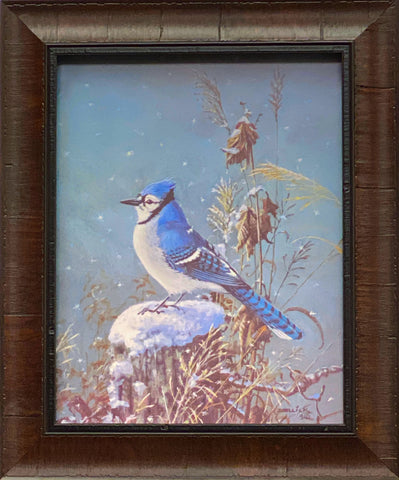 Scott Zoellick Mister Jaybird Art Print Framed 15 x 18